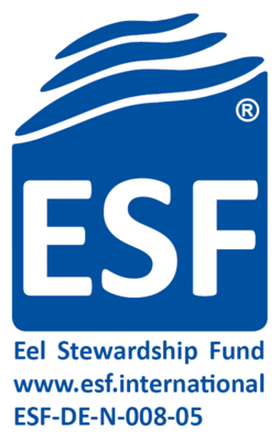 Logo der Aktion „3 für Einen“ des ESF